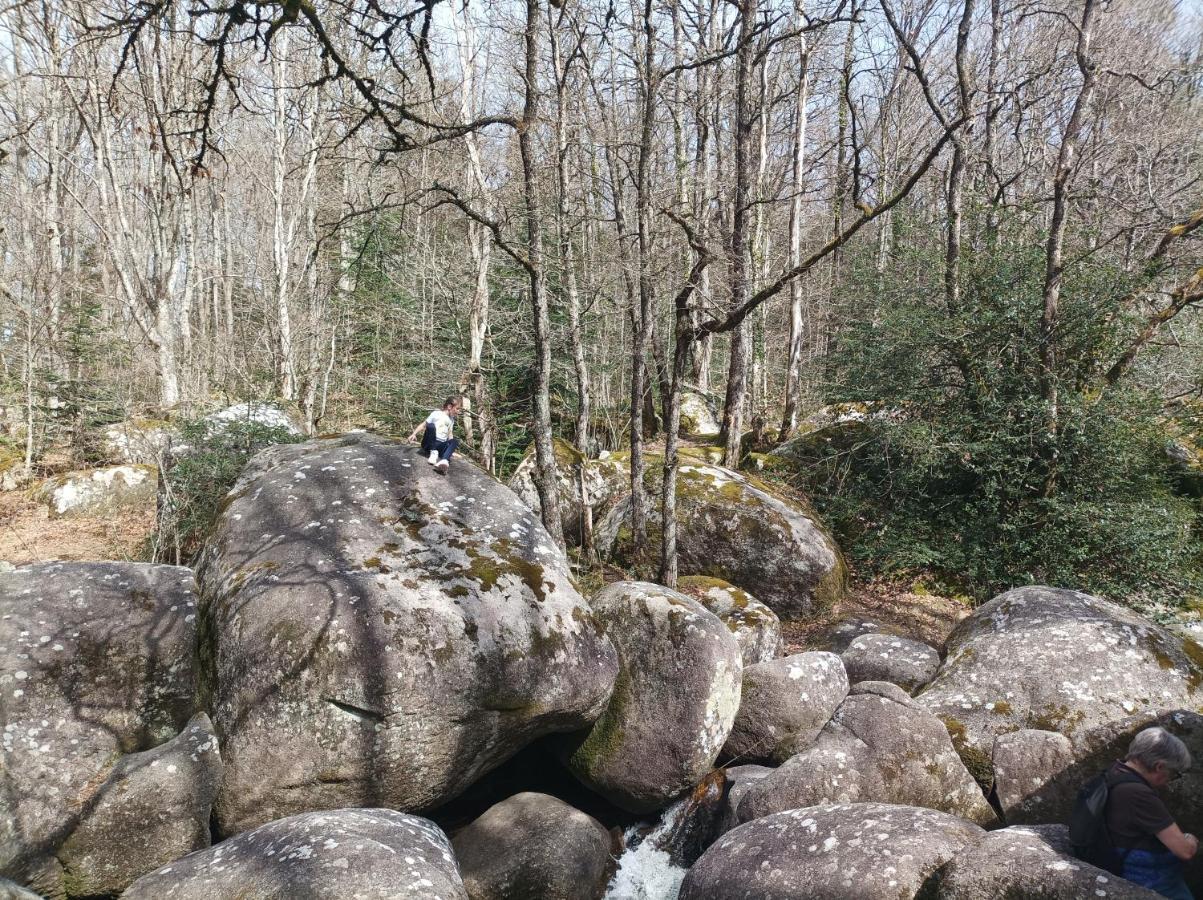 Gite Le Coumis 1370 Saint-Salvy-de-la-Balme ภายนอก รูปภาพ