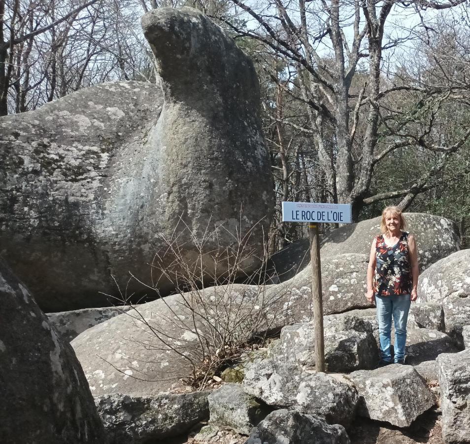Gite Le Coumis 1370 Saint-Salvy-de-la-Balme ภายนอก รูปภาพ